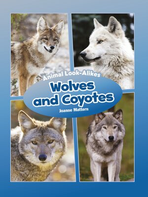 cover image of Wolves and Coyotes